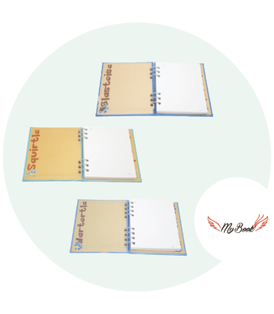 My Book- 3 Mini book Pokemon