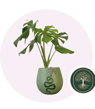 Verde Ceiba -amatista