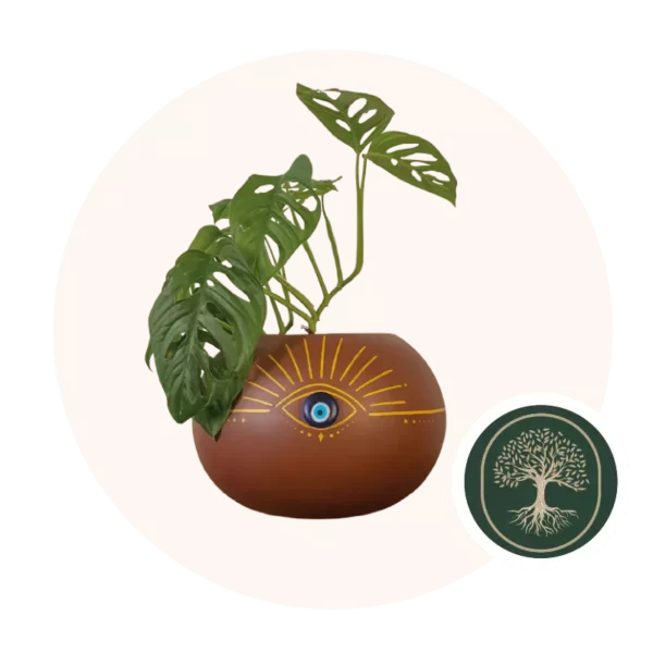 Verde Ceiba- ojo-turco